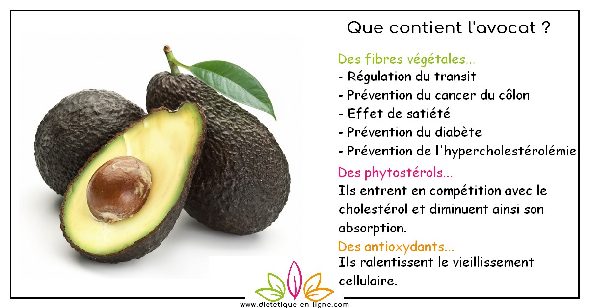 Avocat bon pour la santé avocat bon pour la santé ou pas ? Diététique en ligne