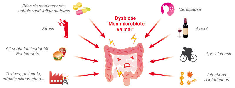 Peut On Prendre Antibiotique Et Anti-inflammatoire Ensemble Microbiote : Ces Bactéries Qui Nous Veulent Du Bien - Diététique En Ligne