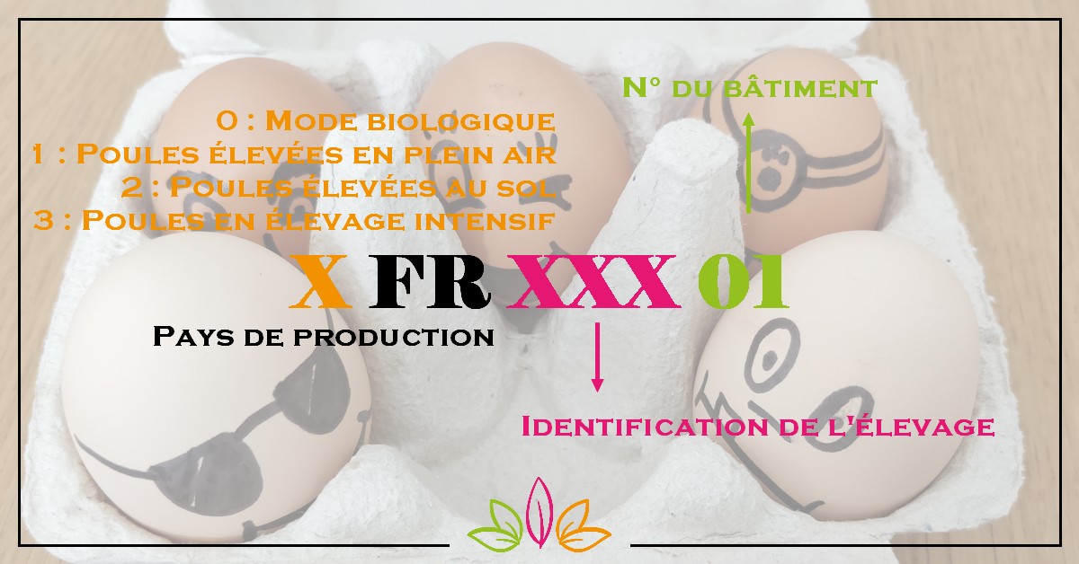 Œufs Valeur Nutritionnelle Œufs Valeur Nutritionnelle