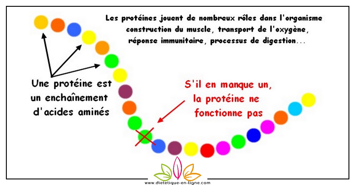 Devenir Végétarien Sans Carence, Possible ? Devenir Végétarien Sans Carence, Possible ?