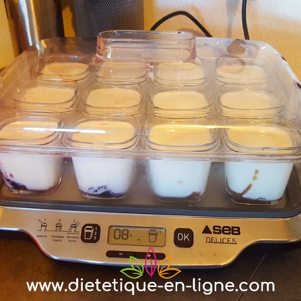 Yaourt Maison Yaourtière Recette - Diététique En Ligne Yaourt Maison Yaourtière Recette - Diététique En Ligne